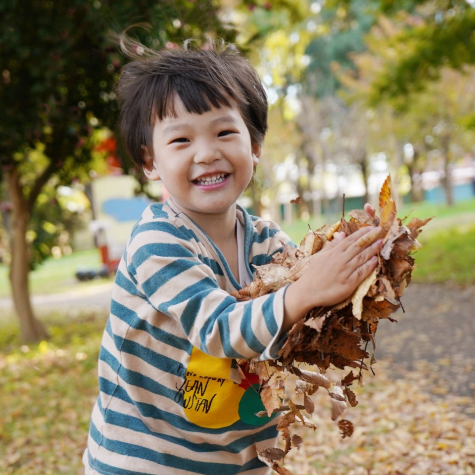 保育学生が知っておきたい「秋の自然」を活かした保育とは?