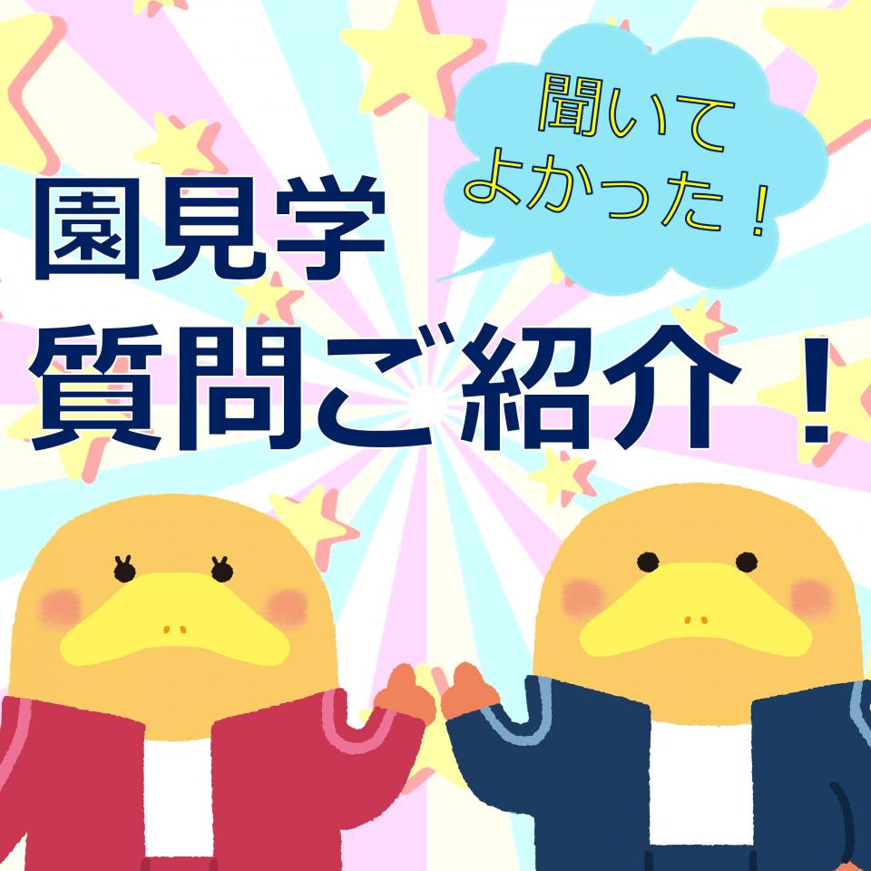https://www.coco-cari-egg.jp/common/uimg/園見学で「聞いてよかった！」質問を３つのテーマでご紹介！