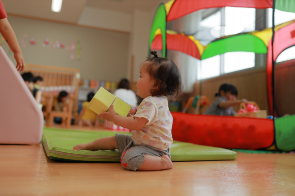 園の雰囲気を知ることができる