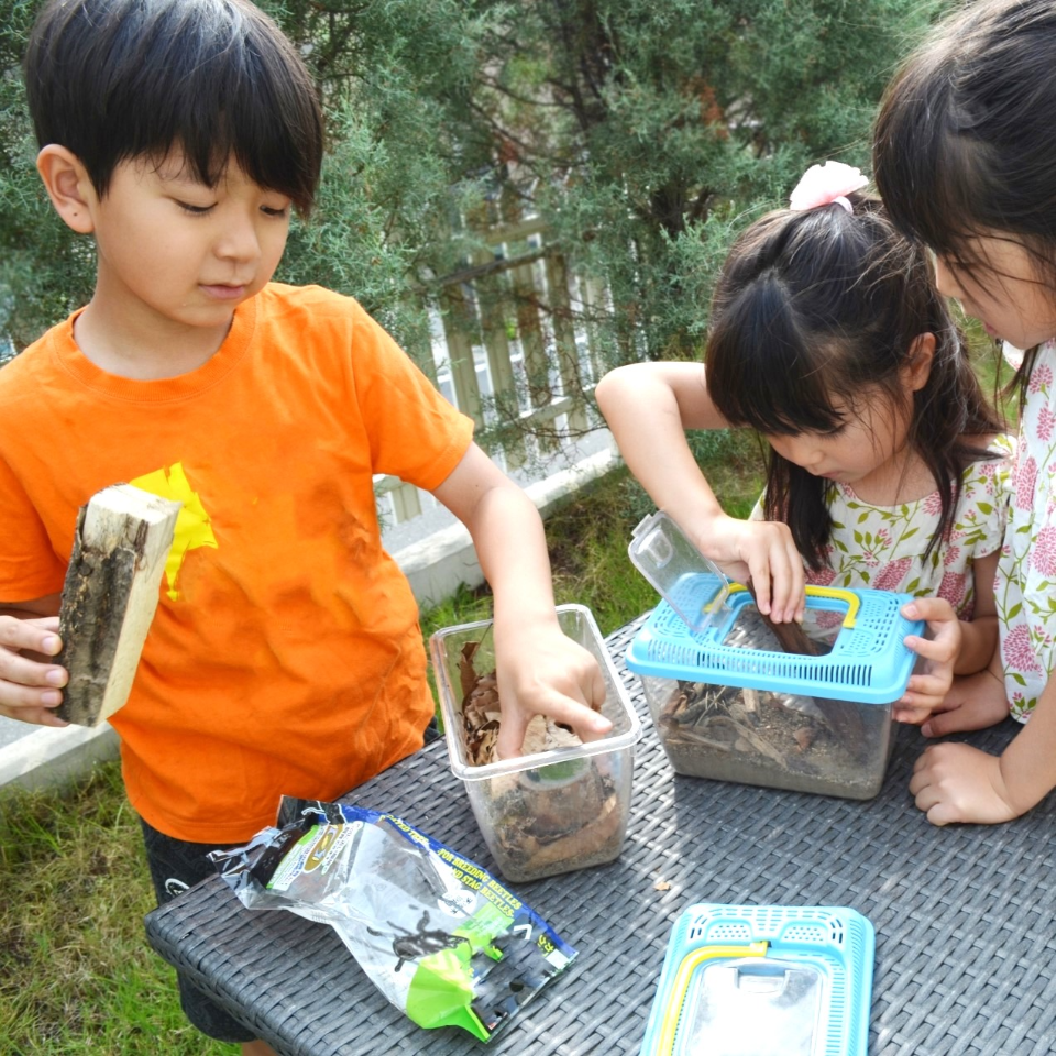 動物・虫などの生き物と触れ合うと子どもたちにはどんな成長が見られるの？