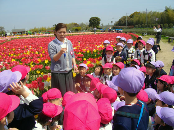 清泉学園 ひばり幼稚園 長く勤める先生が多い!職場環境の良さに注目!