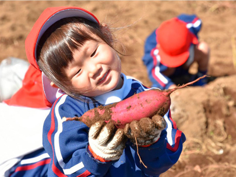 学校法人菊池学園 豊多摩幼稚園