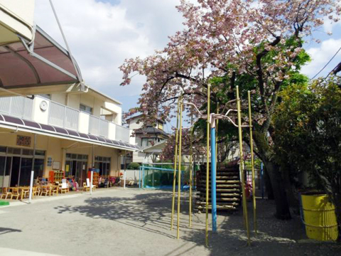 青い空保育園 園長先生・採用担当からのメッセージ