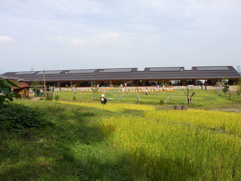 学校法人東京内野学園 東京ゆりかご幼稚園 園長先生・採用担当からのメッセージ
