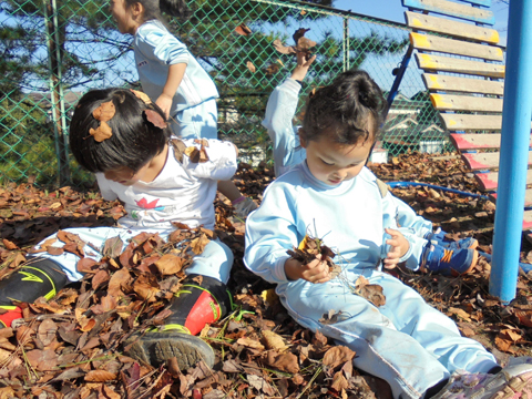学校法人鷹寺学園