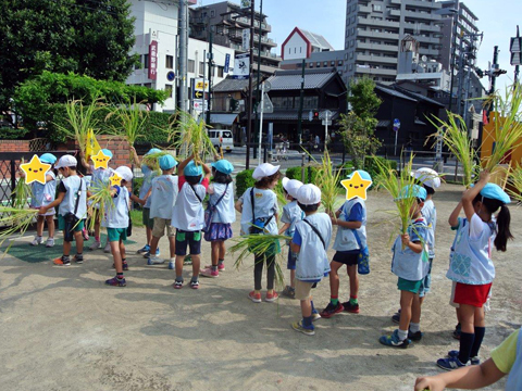 学校法人えのもと学園 川越幼稚園