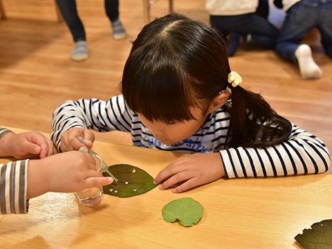 社会福祉法人あけぼの会