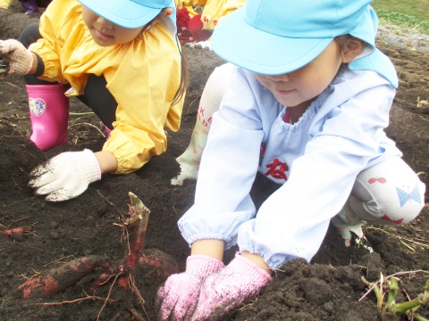 学校法人浄国学園 幼保連携型認定こども園 高平幼稚園