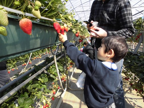 くれよん保育園 園長先生・採用担当からのメッセージ