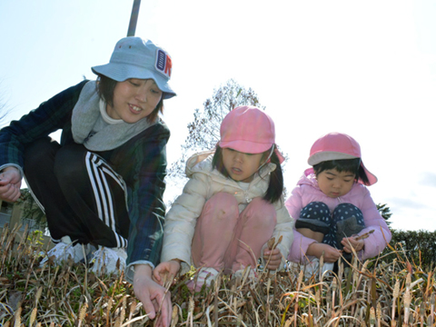 幼保連携型認定こども園 二葉保育園