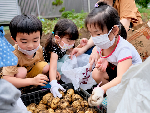 学校法人古庄学園 ふちえ幼稚園 園長先生・採用担当からのメッセージ