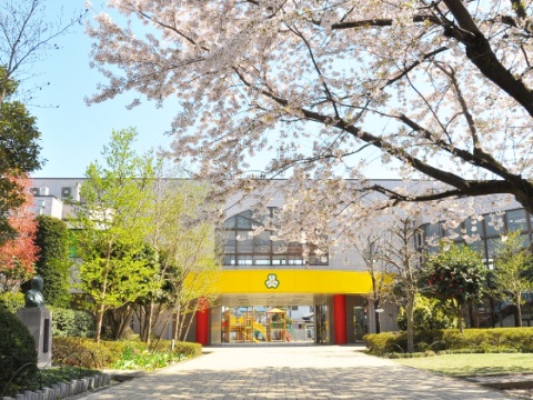 学校法人尾沢学園 桶川ときわこども園