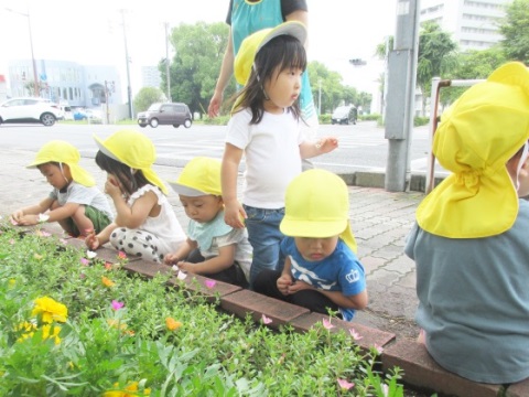 小規模認可保育園 ゆめっこ保育園 園長先生・採用担当からのメッセージ