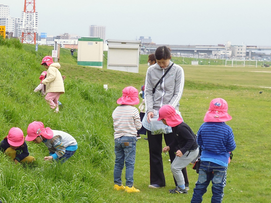 木ノ下保育園