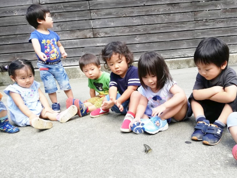 福岡千早保育園ちょうちょ/保育室ちょうちょ くるみの森