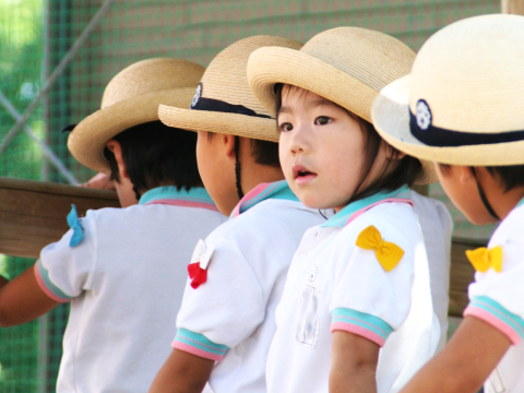 学校法人山崎学園 せいか幼稚園