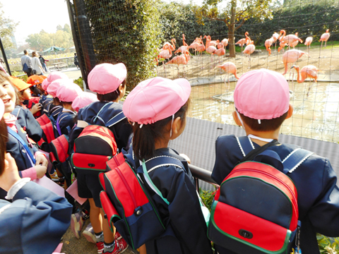 学校法人なごみ学園 いわさき幼稚園/いわさき第二幼稚園