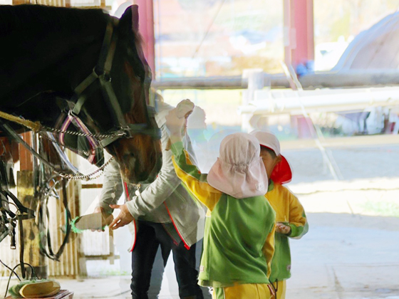 幼保連携型認定こども園　若葉園