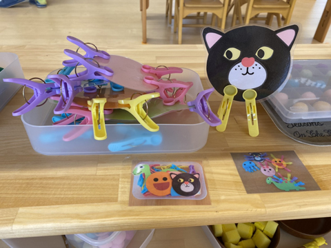なないろグループ/(社福)なないろ・(株)EDU・(社福)芽ぶき 園長先生・採用担当からのメッセージ