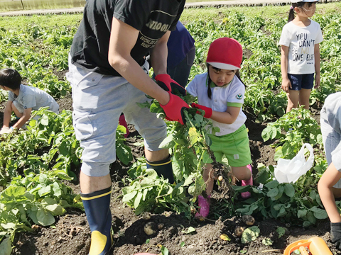 国立ふたば幼稚園