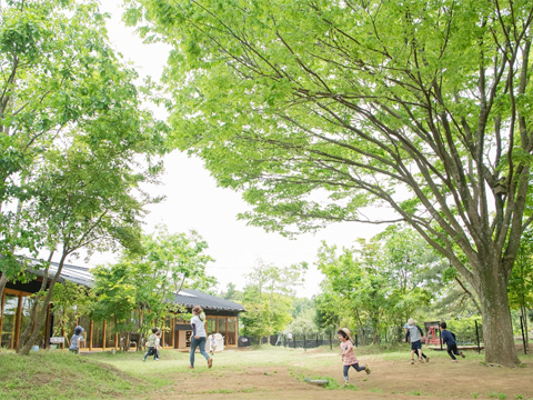 社会福祉法人木風会
