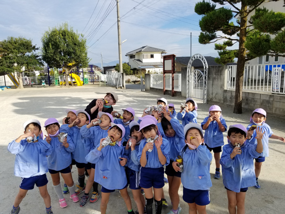 認定こども園みだい幼稚園 子どもたちの未来を育てましょう！