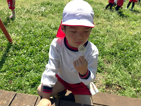 学校法人中山学園 都田幼稚園
