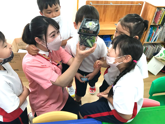 アゼリーグループ（学校法人アゼリー学園/社会福祉法人江寿会）