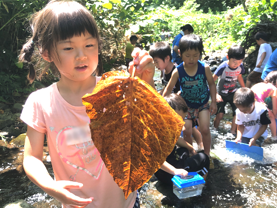 学校法人御西学園 認定こども園たかす円山幼稚園 子どもの気持ちに戻ってみませんか?