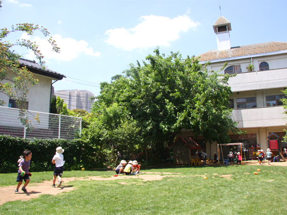 学校法人菅原学園　江戸川双葉幼稚園 