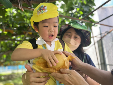 認定こども園青葉幼稚園・SPARK稲城オレンジ 