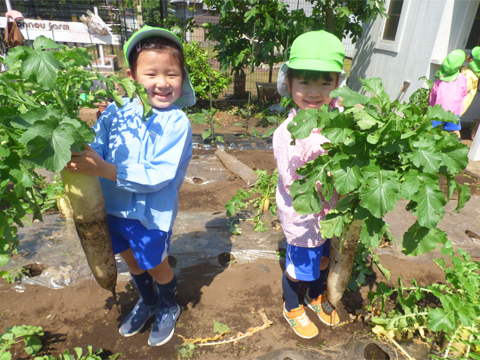 園生幼稚園/附属園生保育園