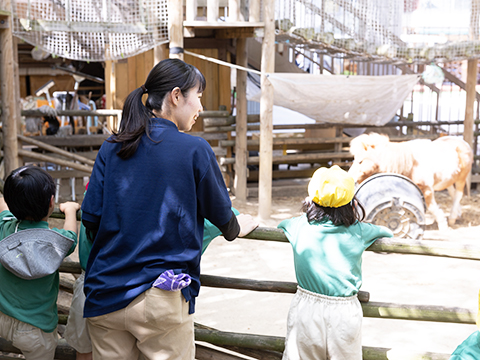 幼保連携型認定こども園 葛飾二葉幼稚園 実習担当の声