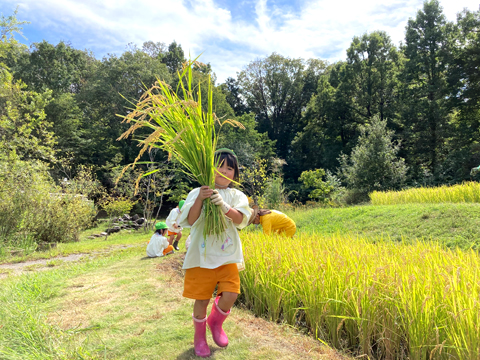 学校法人東京内野学園 東京ゆりかご幼稚園 園長先生・採用担当からのメッセージ