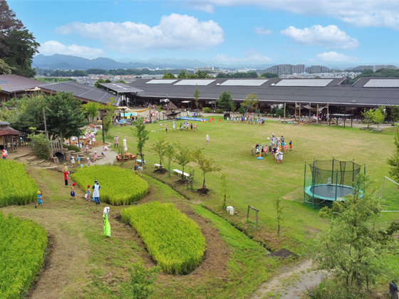 学校法人東京内野学園 東京ゆりかご幼稚園 豊かな自然の中で子どもたちの成長を見守ろう!