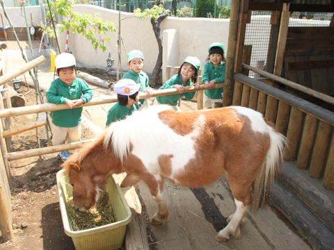 幼保連携型認定こども園 葛飾二葉幼稚園 