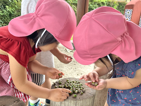 社会福祉法人那須若葉会（とようら保育園・ひばりヶ丘保育園）
