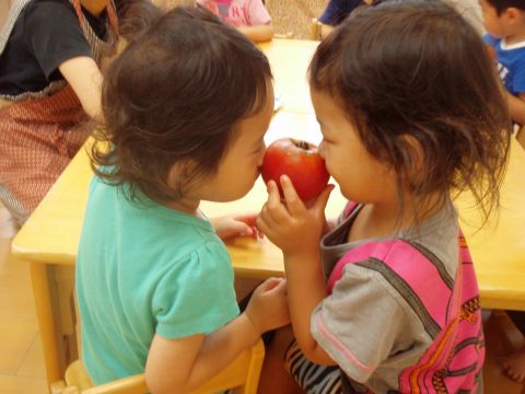 株式会社ぶどうの木