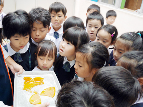 社会福祉法人 わかば保育園