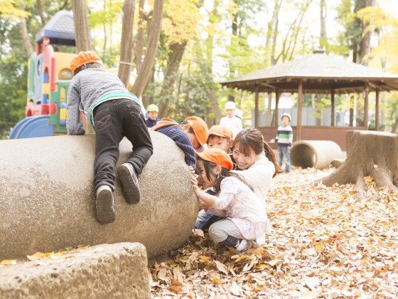 こばとの森幼稚園 春夏秋冬、季節を感じ、森の中でのびのび働きませんか?