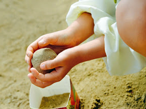 (学)野村学園 パール幼稚園/Pearl Nursery School/BaBy Pearl Nursery